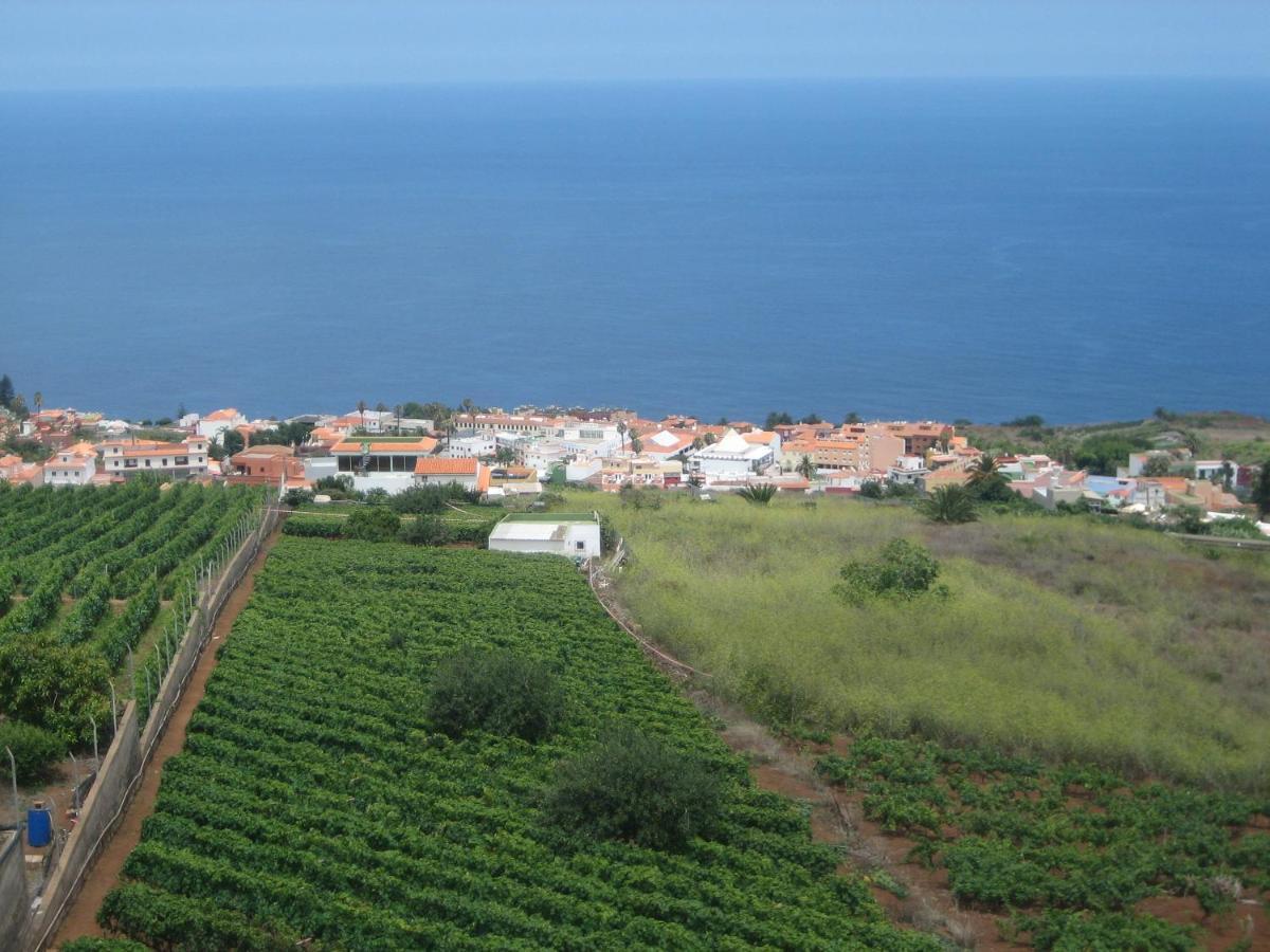 Comfortable Apartment In The North Of Tenerife El El Sauzal Exterior foto